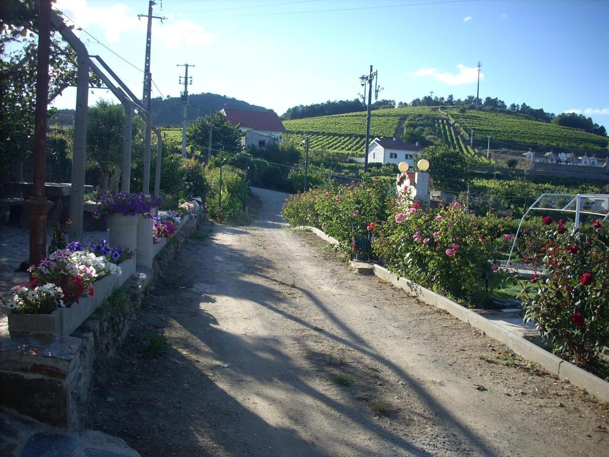 Casa Da Jesus Villa Provesende Eksteriør bilde